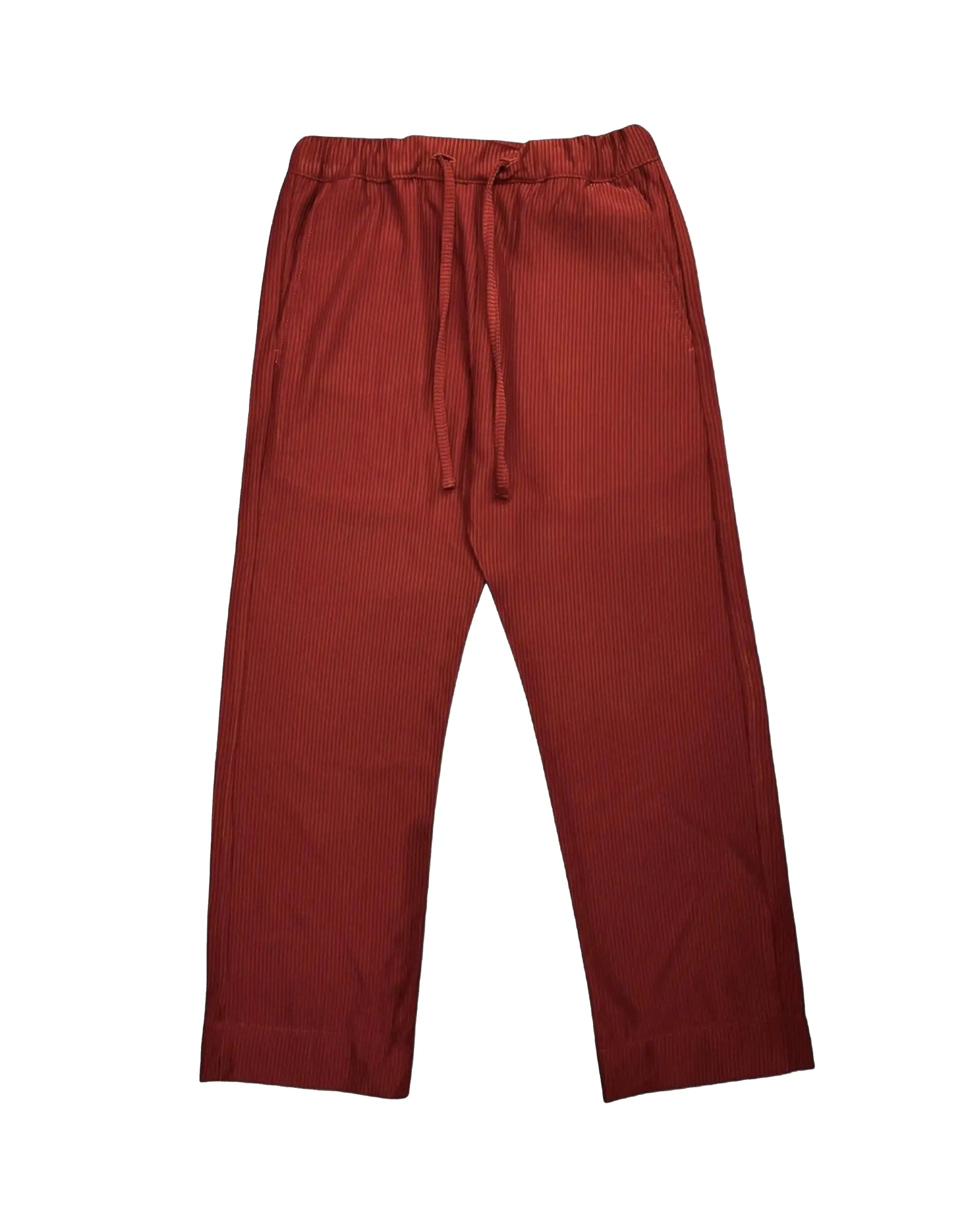 Pantalon Plissé Terra Cotta rosyneclub